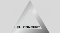 Maitre d'oeuvre LEU CONCEPT