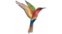 Maitre d'oeuvre COLIBRI